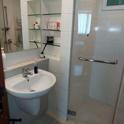 Edelweiss Park Condominium (D17), Condominium #395336911